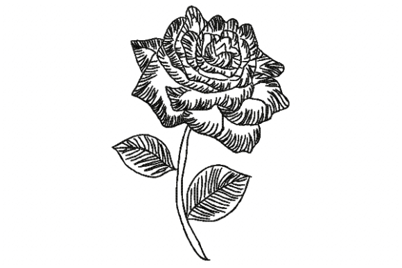 Download Rose Line - Line Collection