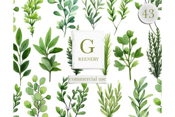 Download Watercolor Greenery Leaves Clipart - Green Collection