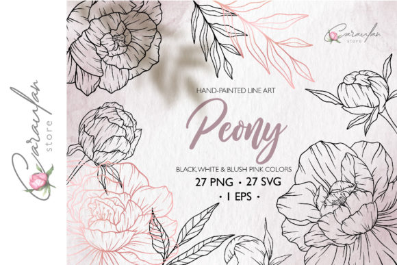 Download Peonies Line Drawing, Floral Line Art - Line Collection