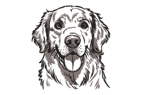 Download Golden Retriever - Old Collection