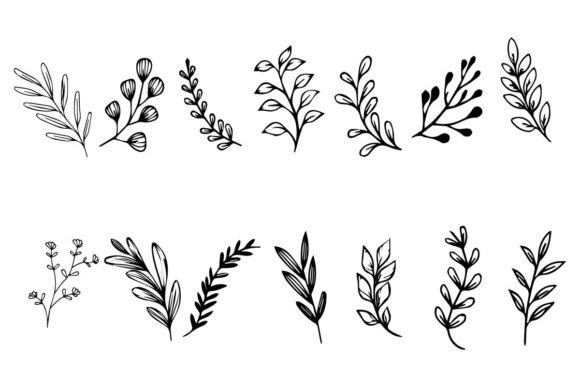 Download Botanical Leaf Wildflower Line Art - Line Collection