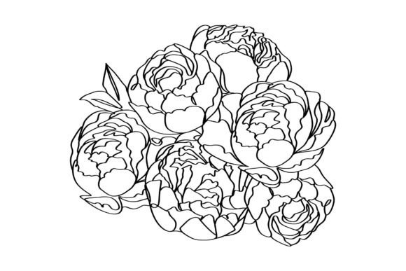 Download Bouquet of Peony Flowers Elegance Linear - Line Collection